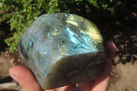 Polished Labradorite Standing Free Forms x 2 From Tulear, Madagascar - Toprock Gemstones and Minerals