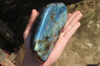 Polished Labradorite Standing Free Forms x 2 From Tulear, Madagascar - Toprock Gemstones and Minerals