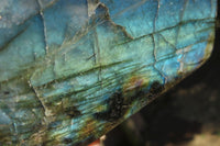 Polished Labradorite Standing Free Forms x 2 From Tulear, Madagascar - Toprock Gemstones and Minerals