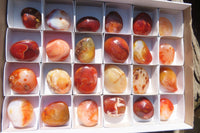Polished Carnelian Palm Stones x 24 From Madagascar - Toprock Gemstones and Minerals