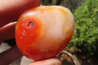 Polished Carnelian Palm Stones x 24 From Madagascar - Toprock Gemstones and Minerals