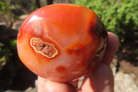 Polished Carnelian Palm Stones x 24 From Madagascar - Toprock Gemstones and Minerals
