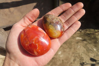 Polished Carnelian Palm Stones x 24 From Madagascar - Toprock Gemstones and Minerals