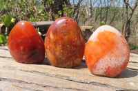 Polished Carnelian Standing Free Forms x 6 From Madagascar - Toprock Gemstones and Minerals