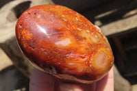 Polished Carnelian Standing Free Forms x 6 From Madagascar - Toprock Gemstones and Minerals