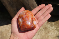 Polished Carnelian Standing Free Forms x 6 From Madagascar - Toprock Gemstones and Minerals
