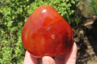 Polished Carnelian Standing Free Forms x 6 From Madagascar - Toprock Gemstones and Minerals