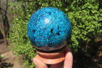 Polished Chrysocolla Conglomerate Spheres x 2 From Congo - Toprock Gemstones and Minerals