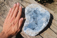 Natural Celestite Geode Specimen x 1 From Sakoany, Madagascar - Toprock Gemstones and Minerals
