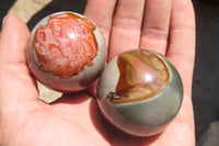 Polished Polychrome Jasper Spheres x 6 From Madagascar - Toprock Gemstones and Minerals