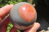 Polished Polychrome Jasper Spheres x 6 From Madagascar - Toprock Gemstones and Minerals