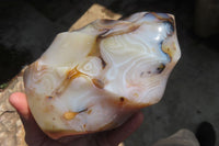 Polished Banded Agate Flame Sculpture x 1 From Madagascar - Toprock Gemstones and Minerals