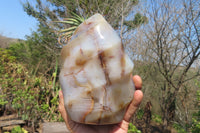 Polished Banded Agate Flame Sculpture x 1 From Madagascar - Toprock Gemstones and Minerals