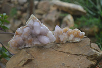 Natural Ametrine Spirit Quartz Clusters x 3 From Boekenhouthoek, South Africa - Toprock Gemstones and Minerals