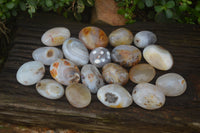 Polished Banded Agate Palm Stones x 24 From Madagascar - Toprock Gemstones and Minerals