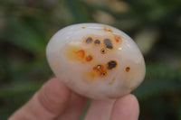 Polished Banded Agate Palm Stones x 24 From Madagascar - Toprock Gemstones and Minerals