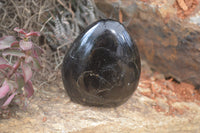 Polished Black Tourmaline Standing Free Forms x 3 From Madagascar - Toprock Gemstones and Minerals