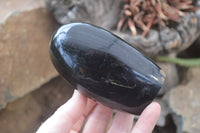 Polished Black Tourmaline Standing Free Forms x 3 From Madagascar - Toprock Gemstones and Minerals