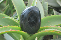 Polished Black Tourmaline Standing Free Forms x 3 From Madagascar - Toprock Gemstones and Minerals