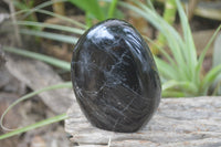 Polished Black Tourmaline Standing Free Forms x 3 From Madagascar - Toprock Gemstones and Minerals
