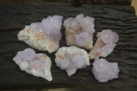 Natural Amethyst Cactus Flower Spirit Quartz Clusters x 6 From Boekenhouthoek, South Africa - Toprock Gemstones and Minerals