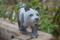 Polished Wonder Stone Panda Bear Carving x 1 From Zimbabwe - Toprock Gemstones and Minerals