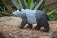 Polished Wonder Stone Panda Bear Carving x 1 From Zimbabwe - Toprock Gemstones and Minerals