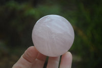 Polished Rose Quartz Sphere-Balls x 4 From Madagascar - Toprock Gemstones and Minerals