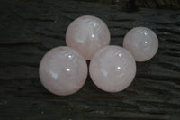 Polished Rose Quartz Sphere-Balls x 4 From Madagascar - Toprock Gemstones and Minerals