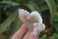 Natural Ametrine Spirit Quartz Clusters x 12 From Boekenhouthoek, South Africa - Toprock Gemstones and Minerals