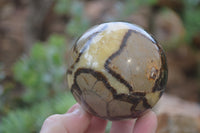 Polished Septerye Spheres x 6 From Mahajanga, Madagascar - Toprock Gemstones and Minerals