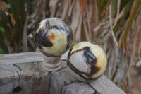 Polished Septerye Spheres x 6 From Mahajanga, Madagascar - Toprock Gemstones and Minerals