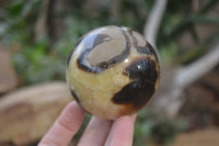 Polished Septerye Spheres x 6 From Mahajanga, Madagascar - Toprock Gemstones and Minerals