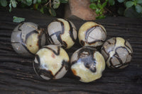 Polished Septerye Spheres x 6 From Mahajanga, Madagascar - Toprock Gemstones and Minerals