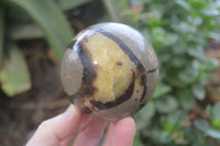 Polished Septerye Spheres x 6 From Mahajanga, Madagascar - Toprock Gemstones and Minerals