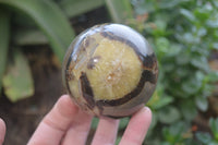 Polished Septerye Spheres x 6 From Mahajanga, Madagascar - Toprock Gemstones and Minerals