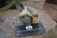 Polished Septerye Spheres x 6 From Mahajanga, Madagascar - Toprock Gemstones and Minerals
