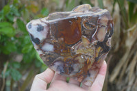 Polished On One Side Nguni Jasper Specimens x 2 From Prieska, South Africa - Toprock Gemstones and Minerals