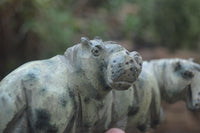 Polished Mixed Stone Hippo Carvings x 3 From Zimbabwe - Toprock Gemstones and Minerals