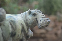 Polished Mixed Stone Hippo Carvings x 3 From Zimbabwe - Toprock Gemstones and Minerals