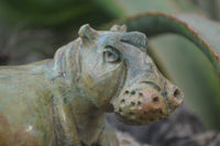 Polished Mixed Stone Hippo Carvings x 3 From Zimbabwe - Toprock Gemstones and Minerals