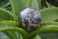Polished Rhodonite Sphere-Balls x 3 From Ambindavato, Madagascar - Toprock Gemstones and Minerals