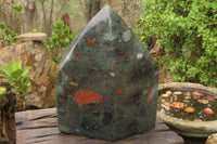 Polished Bloodstone Point x 1 From Swaziland - Toprock Gemstones and Minerals