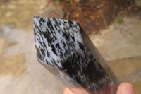 Polished Gabbro / Merlinite Points x 2 From Madagascar - Toprock Gemstones and Minerals
