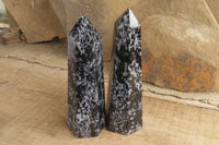 Polished Gabbro / Merlinite Points x 2 From Madagascar - Toprock Gemstones and Minerals