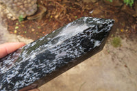 Polished Gabbro / Merlinite Points x 2 From Madagascar - Toprock Gemstones and Minerals