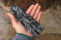 Polished Gabbro / Merlinite Points x 2 From Madagascar - Toprock Gemstones and Minerals