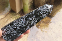 Polished Gabbro / Merlinite Points x 2 From Madagascar - Toprock Gemstones and Minerals