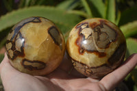 Polished Septerye Spheres x 4 From Mahajanga, Madagascar - Toprock Gemstones and Minerals