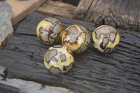 Polished Septerye Spheres x 4 From Mahajanga, Madagascar - Toprock Gemstones and Minerals